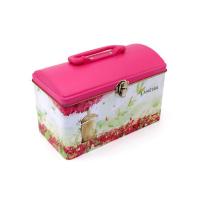 Cosmetic Box With Lock